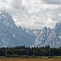 Buck and Wister - Grand Teton National Park