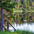 Calm Water Reflections at Tuckamore Lake, Newfoundland