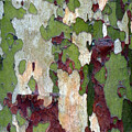 Camouflage