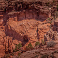 Canyon de Chelly #6 by Blake Webster