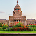Capitol Flowers Photograph by Slow Fuse Photography