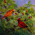 Cardinal Mates in a Pine Tree