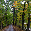 Chesapeake and Ohio Canal Towpath