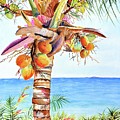Coconut Palm Ocean View by Carlin Blahnik CarlinArtWatercolor