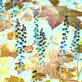 Colorful Abstract Nature Scene by Bruce Block