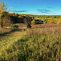 Colorful Autumn Morning On The Bay View Trail Photograph by Owen Weber