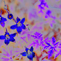 Colorful Floral Composition by Bruce Block
