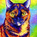 Colorful Tortoiseshell Cat