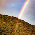 Connecting with the Rainbow by Tommy Farnsworth