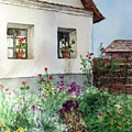 Cottage, Hungary by Melissa Enderle
