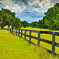 Country Road and Fence in Ocala, FLorida by Michael Warren