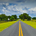 Country Road in Ocala, Florida by Michael Warren