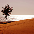 Couple on the beach in sunset Photograph by Severija Kirilovaite