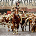 Cowboy Leading Cattle in Fort Worth with Watercolors by Kelley King