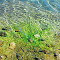 Crystal Clear Water with Textured Ripples Nature Photography Print by Severija Kirilovaite