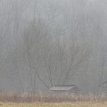 Dan Lawson Place in Winter Fog, Cades Cove by Marcy Wielfaert