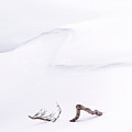 Desolation