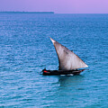 Dhow sailing Stone Town Port Zanzibar Tanzania circa 2004 3528-1 by Neptune Ivy