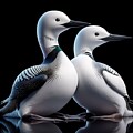 Elegant White Loon Pair