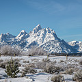 Elk Ranch Flats Winter Tetons