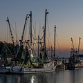Evening at Shem Creek