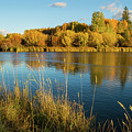 Fall on the Deschutes