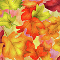 Falling Autumn Leaves