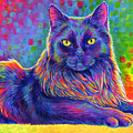 Psychedelic Rainbow Black Cat - Felix