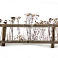 Fence Against Snow by Vi Ray