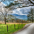 Fence and Trees in Cades Cove in Smoky Mountains
