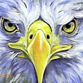 Fierce Eagle by Raette Meredith