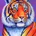 Fiery Beauty - Colorful Bengal Tiger