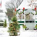 First Snow on the New Milford Green by Dave King