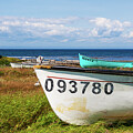 Fishing Boats on a Sunny Shoreline - Newfoundland, Canada