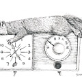 Five O'Clock World by Marie Stone-van Vuuren