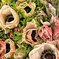 Flower Market 2 by Lisa Chorny