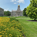 Flowers On Old Capital by Robert Allen Hill