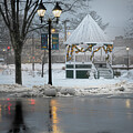 Foggy Bandstand on the Green by Dave King