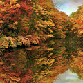 Foliage Reflections by Jessica Jenney