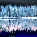 Forest Lake Reflection Digital Art by Bruce Block