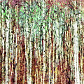 Forest of Trees by Rick Perkins