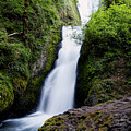 Forest Waterfall in Motion