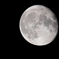 Full Moon-Almost by Robert Allen Hill