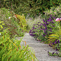 Garden Flower Path by D Lee