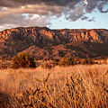 Golden Hour Glow in the High Desert