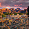 Golden Hour Light in the Sandia Foothills