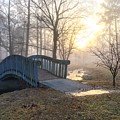 Golden Morning Bridge by Greg Lane