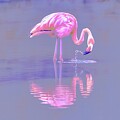 Graceful Flamingo in Tranquil Waters by Bruce Block