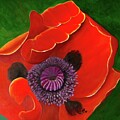 Grand Hotel Poppy by Art From the Heart