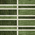 Green Striped Groove by Ema Paraschiv